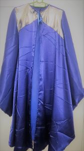 Kids Costumes to Hire - Robe - blue with sleeves & silver detail - child